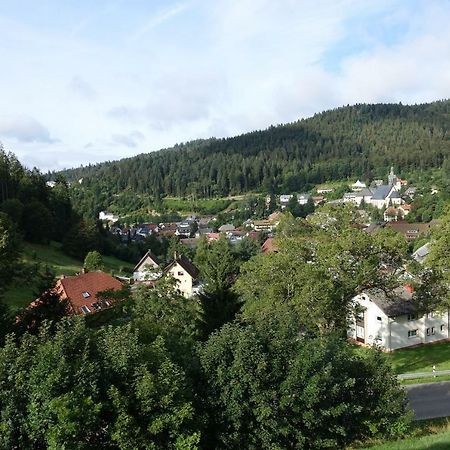 Zum Schwalbennest Lägenhet Todtmoos Exteriör bild