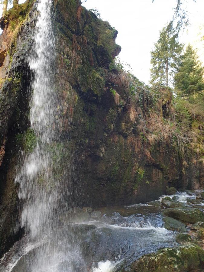 Zum Schwalbennest Lägenhet Todtmoos Exteriör bild