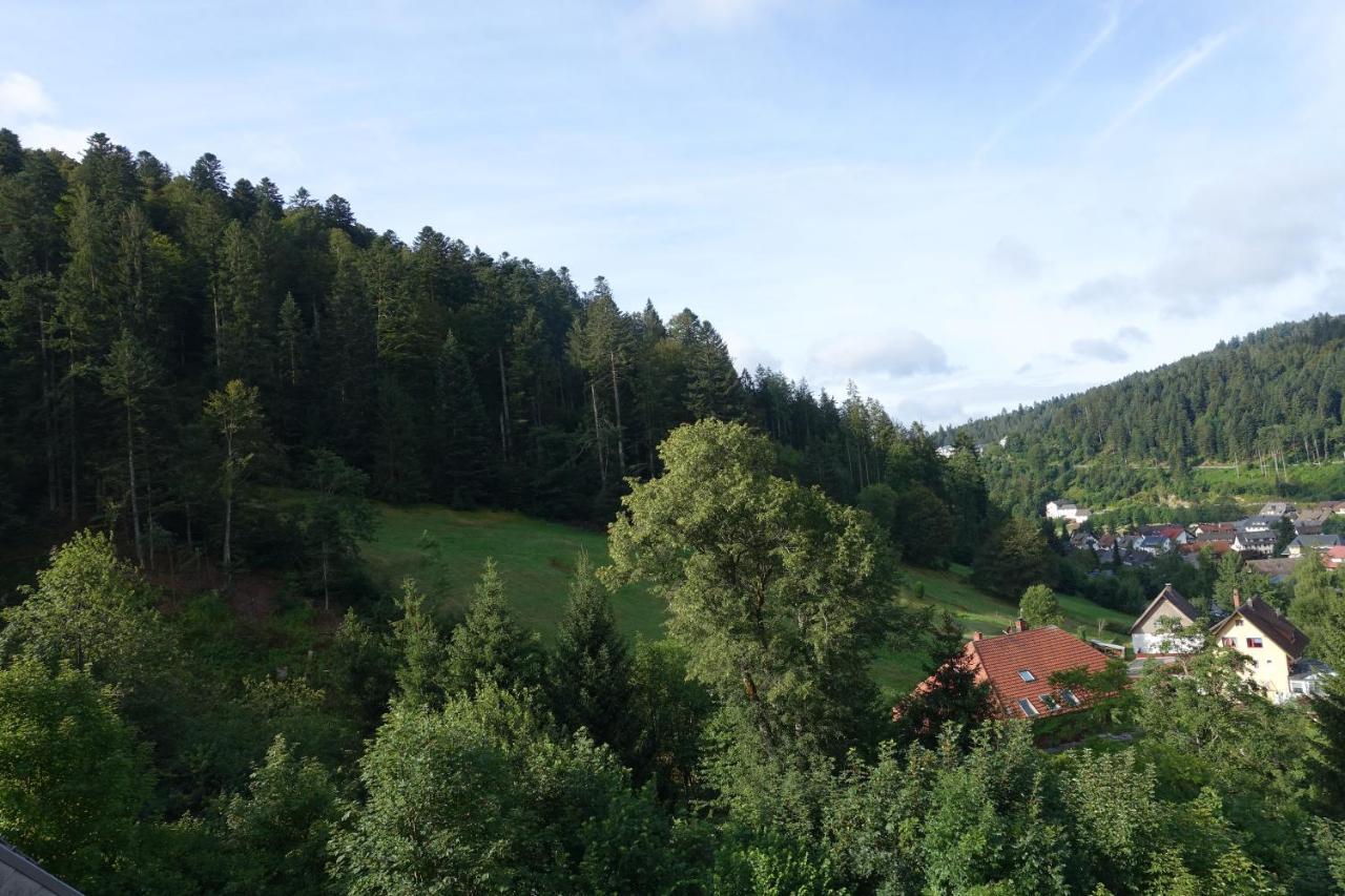 Zum Schwalbennest Lägenhet Todtmoos Exteriör bild