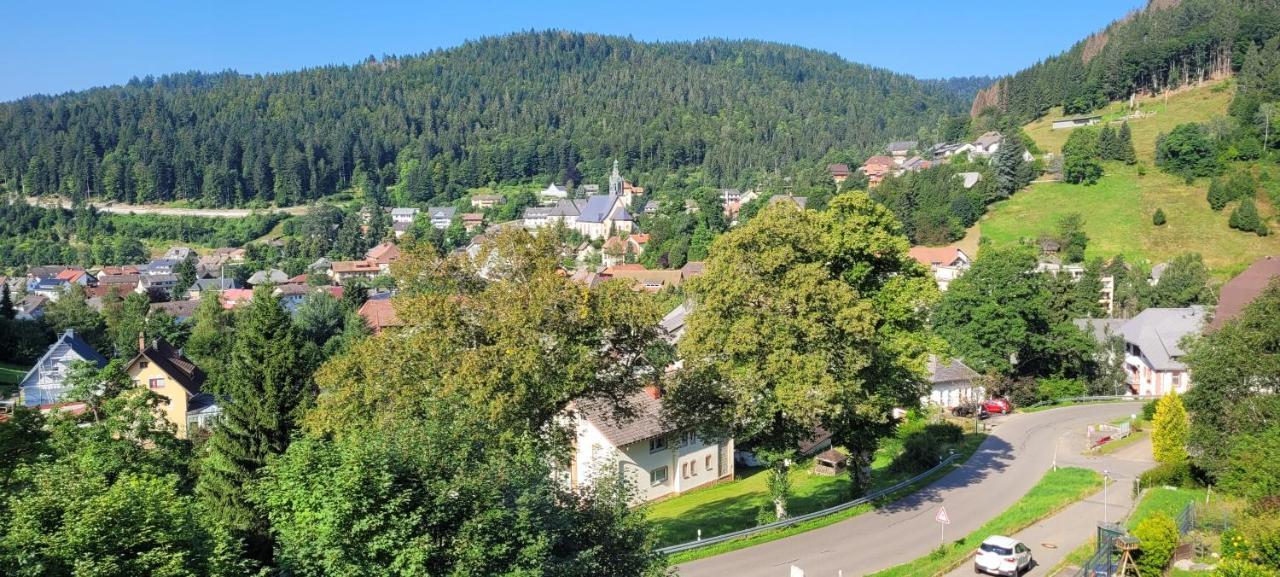 Zum Schwalbennest Lägenhet Todtmoos Exteriör bild