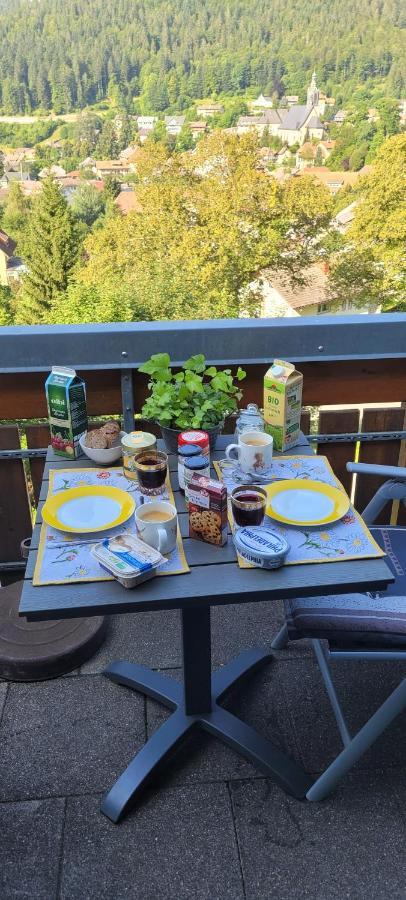 Zum Schwalbennest Lägenhet Todtmoos Exteriör bild