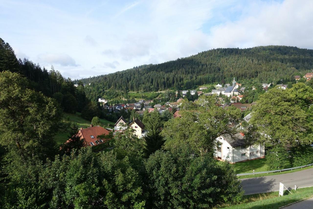 Zum Schwalbennest Lägenhet Todtmoos Exteriör bild