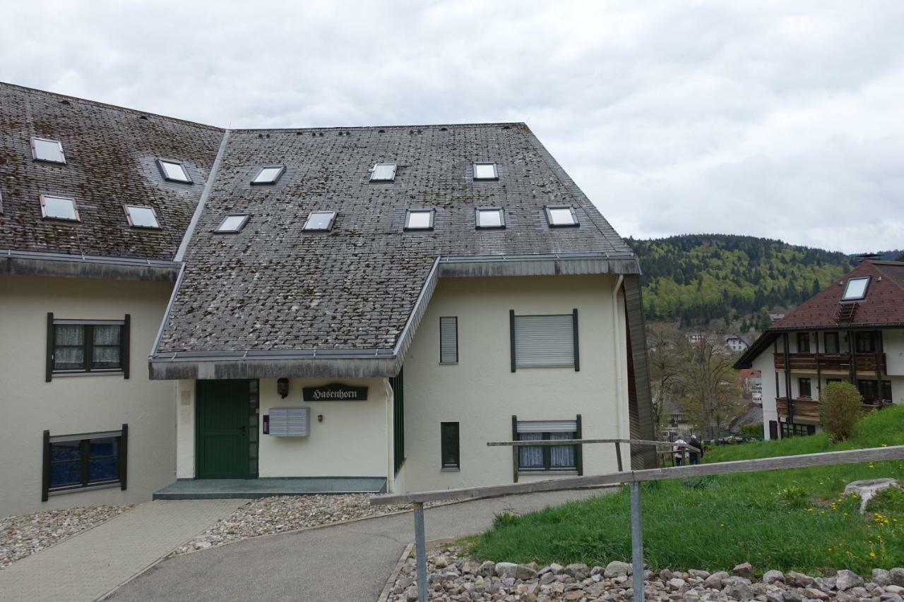 Zum Schwalbennest Lägenhet Todtmoos Exteriör bild