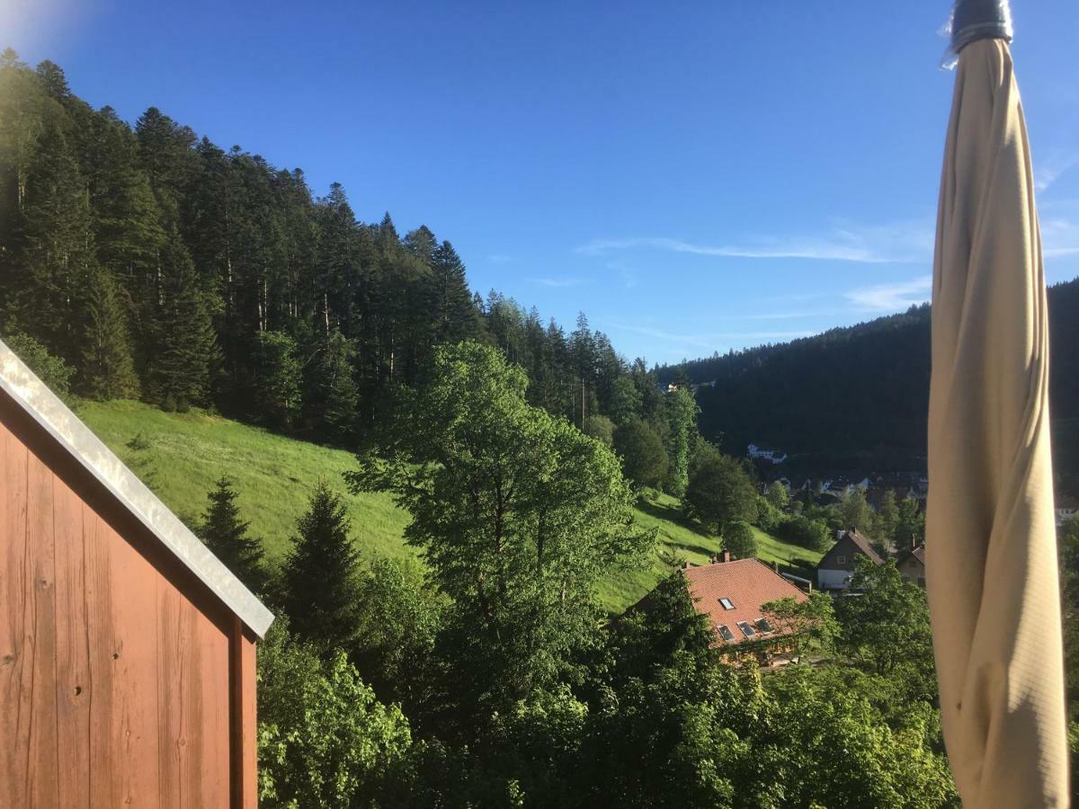 Zum Schwalbennest Lägenhet Todtmoos Exteriör bild