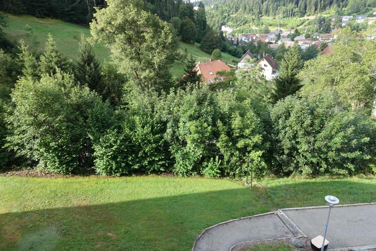 Zum Schwalbennest Lägenhet Todtmoos Exteriör bild