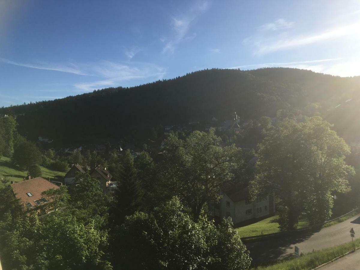 Zum Schwalbennest Lägenhet Todtmoos Exteriör bild